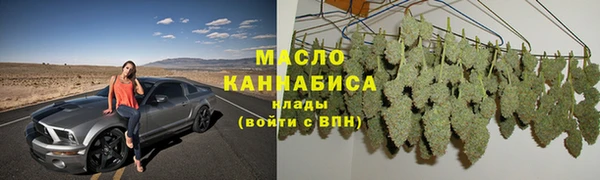 индика Володарск